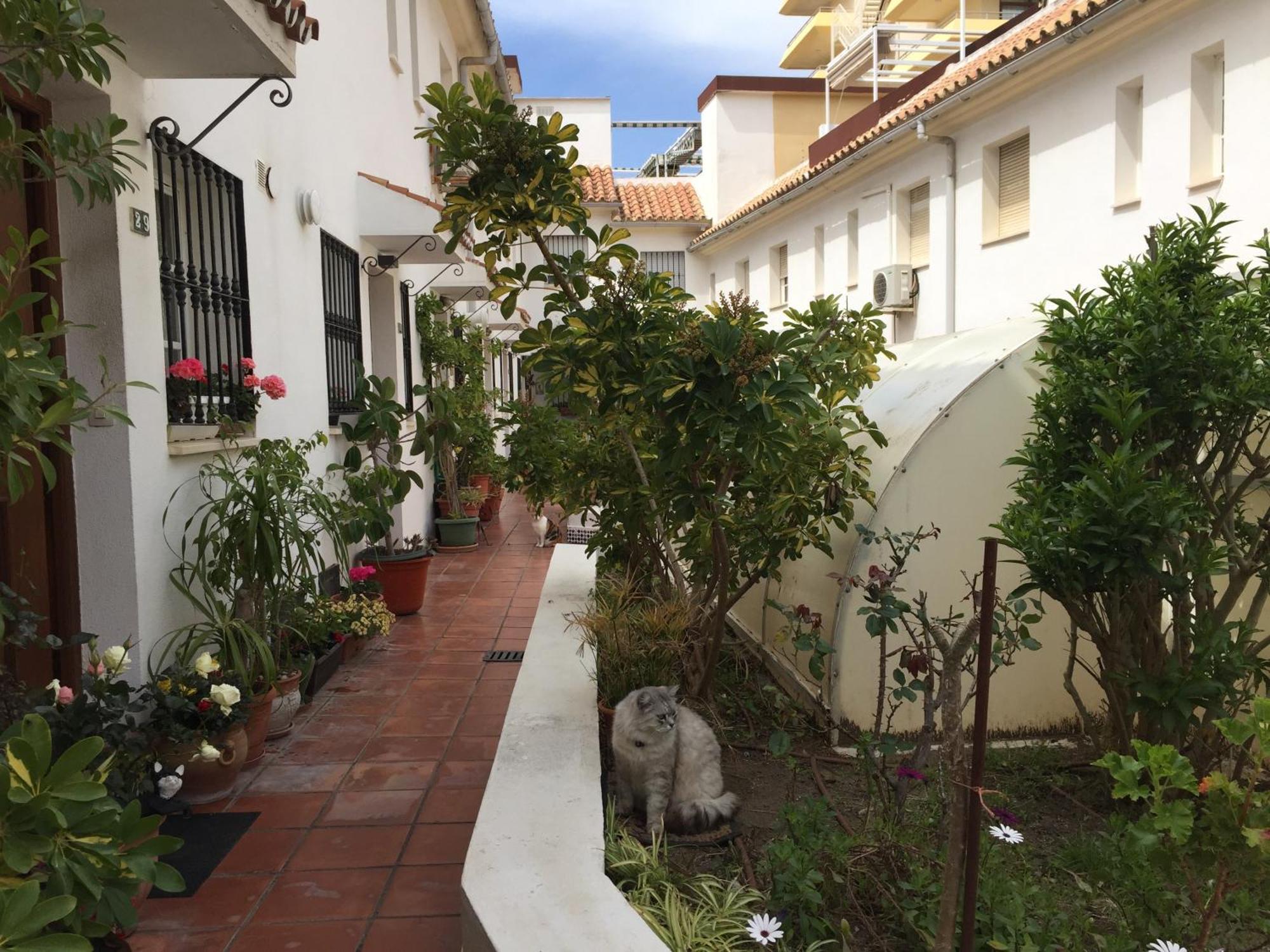El Cortijuelo. Magnificent Triplex Terraced House With Rooftop Of 18M2, Overlooking The Sea. Parking Torremolinos Buitenkant foto